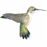 Hummingbird Chirstmas Ornament Photo Sculptures