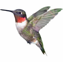 Hummingbird Christmas Ornament photo sculptures