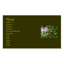 Hummingbird Clear Wing Moth Business Card