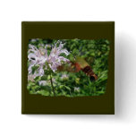 Hummingbird Clear Wing Moth Coordinating Items Buttons