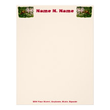 Hummingbird Clear Wing Moth Letterhead