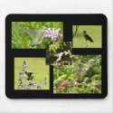 Hummingbird Collage mousepads by littlewingdesign Hummingbird Collage mousepads