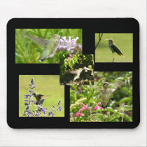 Hummingbird Collage mousepads