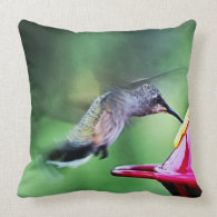 Hummingbird Decorative Throw Pillow