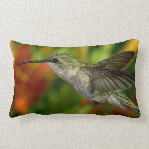 Hummingbird Decorative Throw Pillow Zazzle