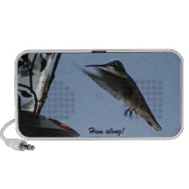 Hummingbird Doodle Speaker