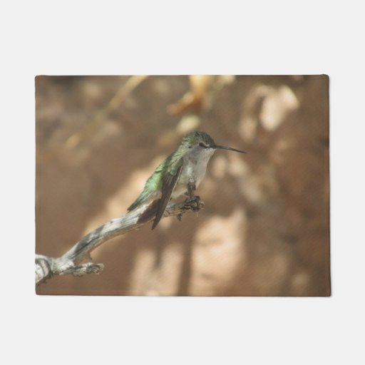 Hummingbird Doormat Zazzle