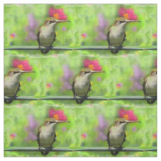 Hummingbird Fabric