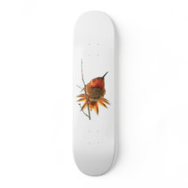 Hummingbird Fantail Skateboard by farmer77 Hummingbird Fantail Skateboard