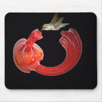 Hummingbird Feeder Mousepads
