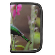Hummingbird feeding on nectar folio planner