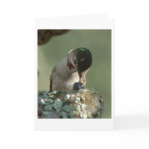 Hummingbird feeding time cards