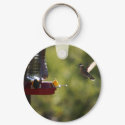 Hummingbird Feeding Time keychains