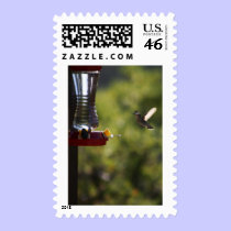 Hummingbird Feeding Time postage