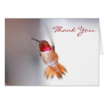 Hummingbird Flying Photo Greeting Card