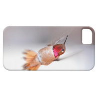 Hummingbird Flying Photo iPhone Cover iPhone 5 Cover