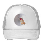 Hummingbird Flying Photo Mesh Hats
