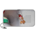 Hummingbird Flying Photo Travel Speaker