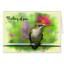 Hummingbird Friendship Greeting Cards
