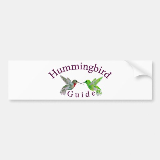 hummingbird guide final bumper sticker