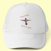 hummingbird hats