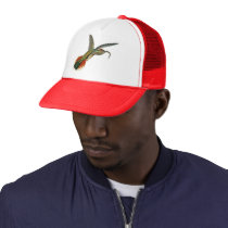 Hummingbird Hat