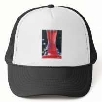 HummingBird Trucker Hat