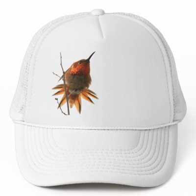 Hummingbird Hat by farmer77