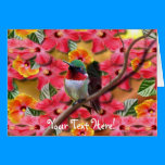 Hummingbird Haven Birthday Card cards