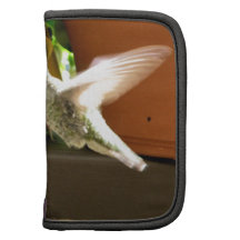 Hummingbird Haven Organizers
