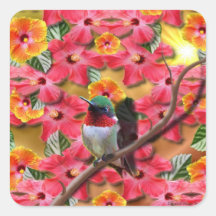 Hummingbird Haven Square Stickers