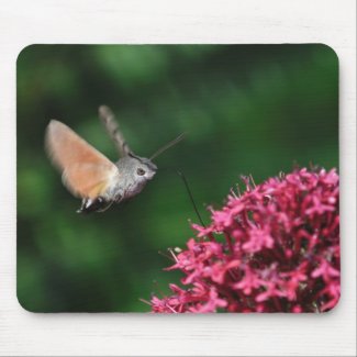 Hummingbird hawkmoth and valerian mousepad