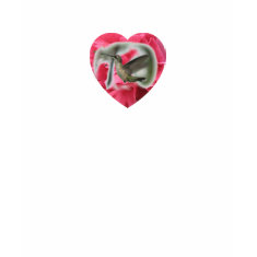 Hummingbird Heart T-Shirt shirt