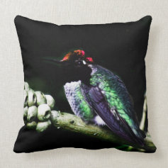 Hummingbird Homecoming Collection Throw Pillow