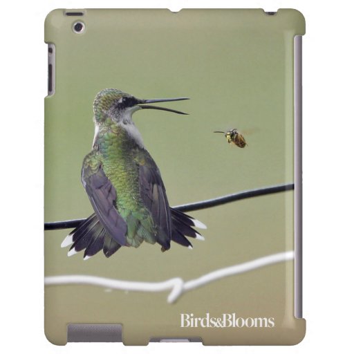 hummingbird honey bee zazzle hummingbird honey bee zazzle
