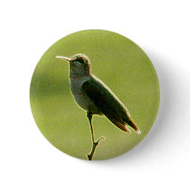 Hummingbird Icon buttons
