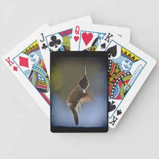 Hummingbird in Flight Black Edge Card Decks