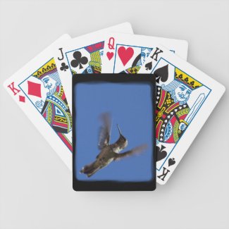 Hummingbird in Flight Black Edge Deck Of Cards