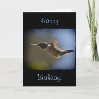 Hummingbird in Flight Cards