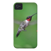 Hummingbird in flight iphone 4 covers