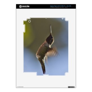 Hummingbird in Flight Decal For Ipad 3