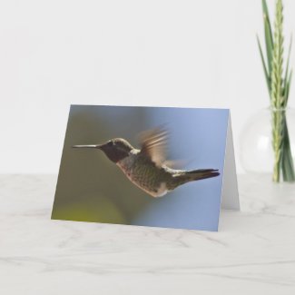 Hummingbird in Flight Greeting Cards