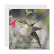 Hummingbird in flight personalized announcement