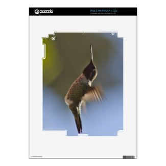 Hummingbird in Flight Ipad 2 Skin