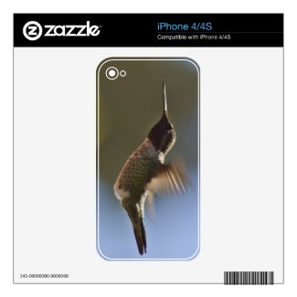Hummingbird in Flight Iphone 4 Skin