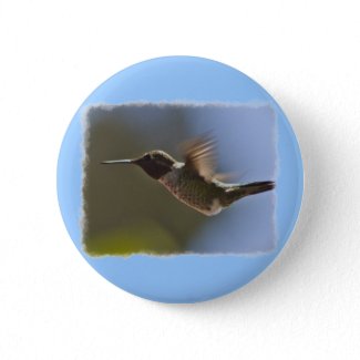 Hummingbird in Flight Pinback Button