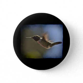 Hummingbird in Flight Pinback Buttons