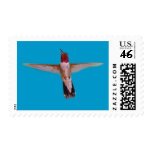 Hummingbird in Flight Postage