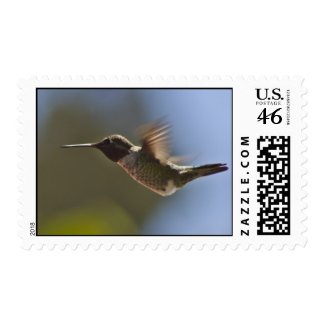 Hummingbird in Flight Postage Stamp