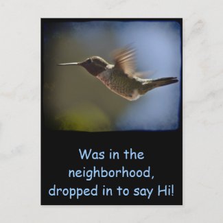 Hummingbird in Flight Postcards